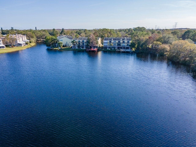 2648 Sabal Springs Dr Unit 2, Clearwater, FL 33761 - water view