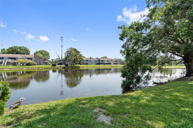 4013 Muriel Pl, Tampa, FL 33614 - photo 24