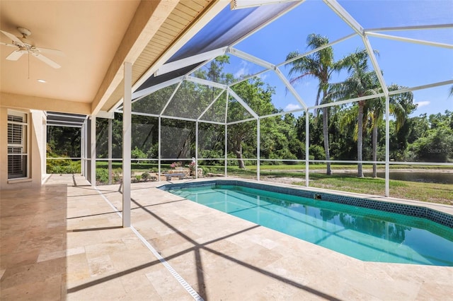 5160 Loquat Ct, Palm Harbor, FL 34685 - outdoor pool with a patio, ceiling fan, view of wooded area, and glass enclosure