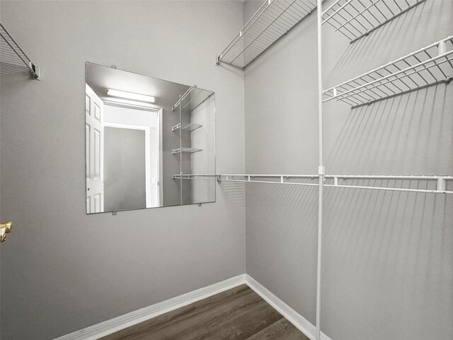 5160 Loquat Ct, Palm Harbor, FL 34685 - spacious closet with wood finished floors