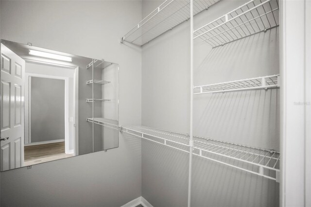5160 Loquat Ct, Palm Harbor, FL 34685 - view of walk in closet