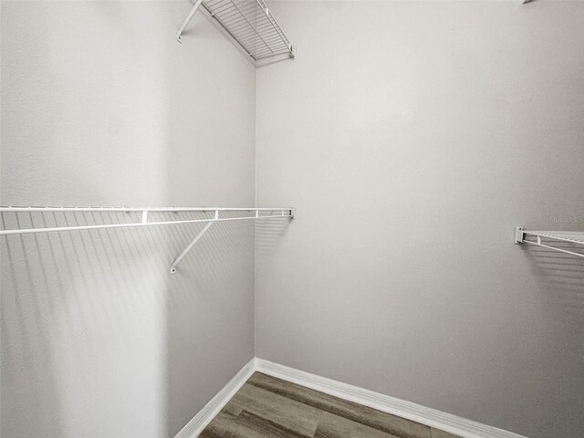 5160 Loquat Ct, Palm Harbor, FL 34685 - spacious closet featuring wood finished floors