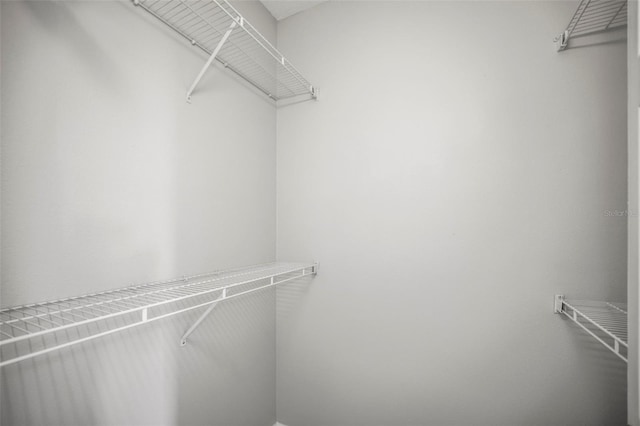 5160 Loquat Ct, Palm Harbor, FL 34685 - view of spacious closet