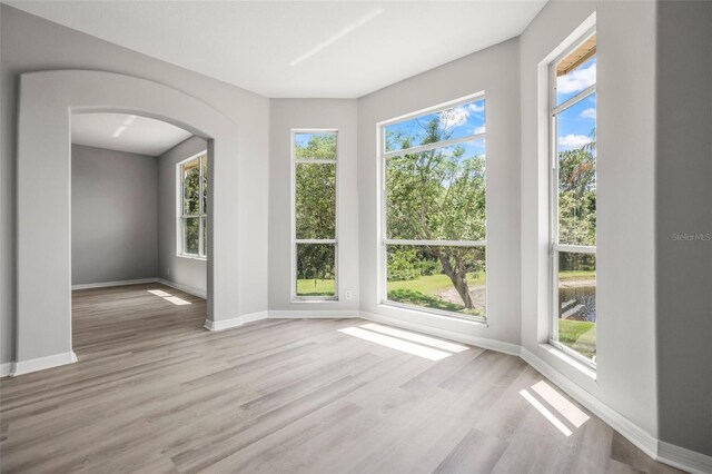 5160 Loquat Ct, Palm Harbor, FL 34685 - spare room with wood finished floors, baseboards, and arched walkways