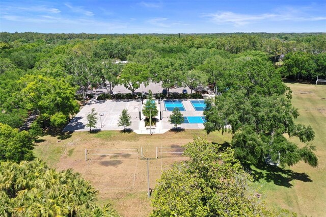 5160 Loquat Ct, Palm Harbor, FL 34685 - aerial view of a forest and a pool