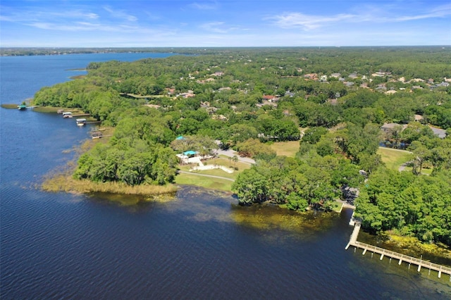5160 Loquat Ct, Palm Harbor, FL 34685 - aerial view of property and surrounding area with a nearby body of water and a heavily wooded area