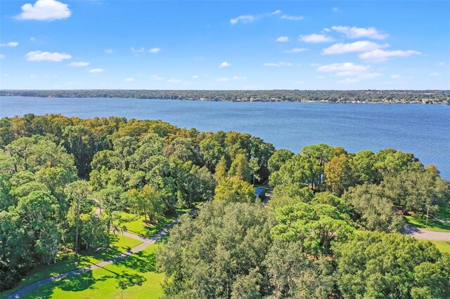 5160 Loquat Ct, Palm Harbor, FL 34685 - view of property location with a large body of water and a heavily wooded area
