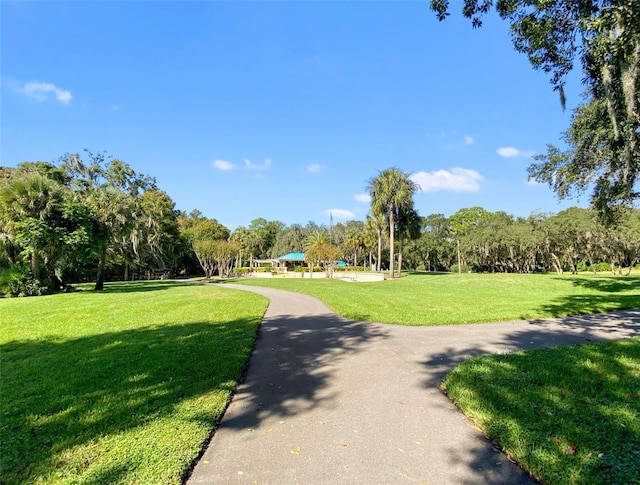5160 Loquat Ct, Palm Harbor, FL 34685 - surrounding community with a lawn