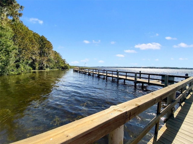 5160 Loquat Ct, Palm Harbor, FL 34685 - dock featuring a water view