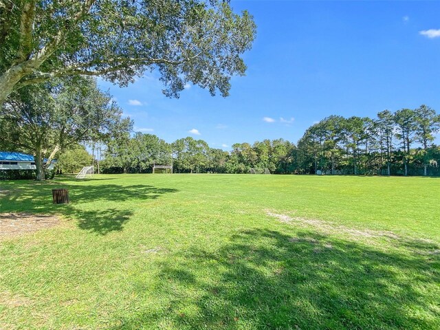 5160 Loquat Ct, Palm Harbor, FL 34685 - view of yard with a sport area
