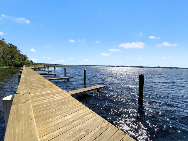 5160 Loquat Ct, Palm Harbor, FL 34685 - dock area with a water view