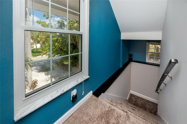 405 8th Ave N, Tierra Verde, FL 33715 - stairway featuring lofted ceiling, carpet floors, and baseboards