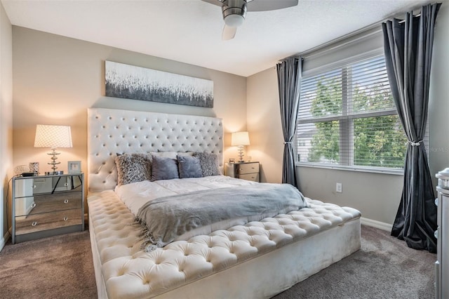 7030 Summer Holly Pl, Riverview, FL 33578 - bedroom with dark carpet and ceiling fan