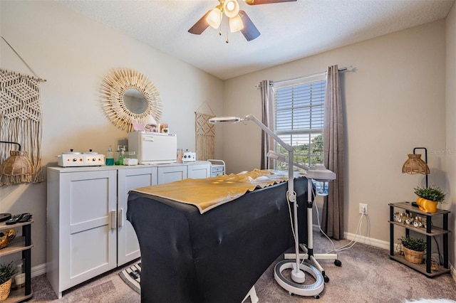 7030 Summer Holly Pl, Riverview, FL 33578 - office space featuring independent washer and dryer, a ceiling fan, and light carpet