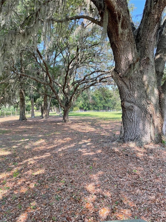2748 Crk 543, Sumterville, FL 33585 - view of yard