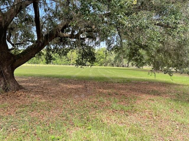 2748 Crk 543, Sumterville, FL 33585 - view of green lawn featuring view of scattered trees