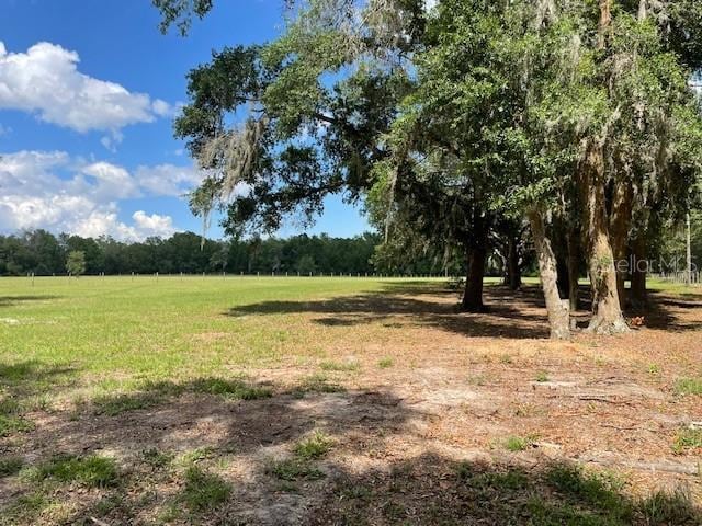 2748 Crk 543, Sumterville, FL 33585 - view of undeveloped land