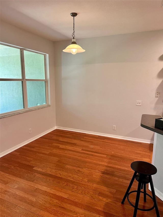 608 Black Lion Dr NE, Saint Petersburg, FL 33716 - unfurnished room with wood finished floors and baseboards