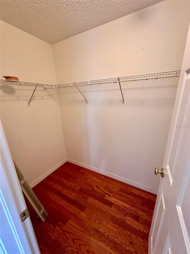 608 Black Lion Dr NE, Saint Petersburg, FL 33716 - walk in closet with dark wood-style floors