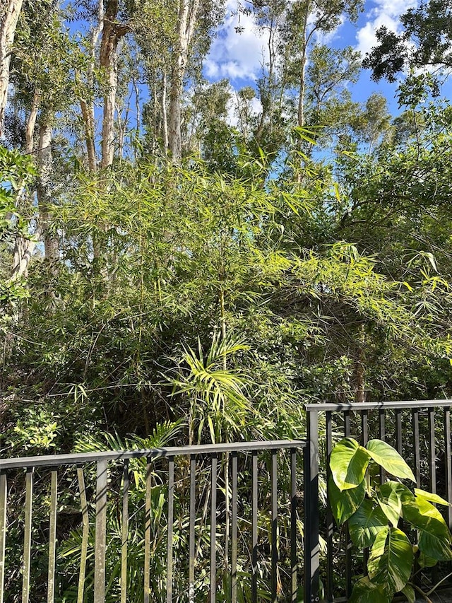 608 Black Lion Dr NE, Saint Petersburg, FL 33716 - view of yard