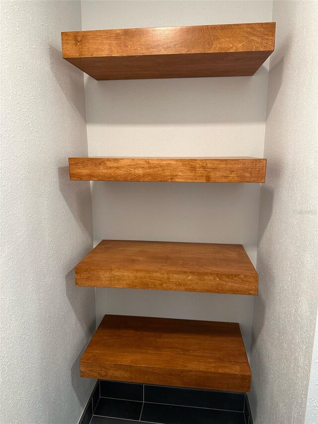 608 Black Lion Dr NE, Saint Petersburg, FL 33716 - view of closet