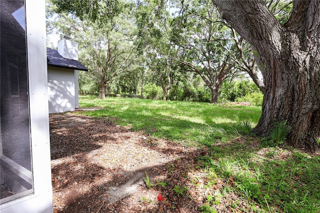 4260 Saint Lawrence Dr, New Port Richey, FL 34655 - view of yard