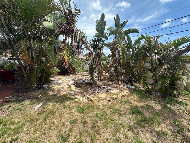 1559 San Roy Dr, Dunedin, FL 34698 - view of yard