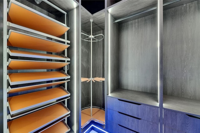 6534 Simone Shores Cir, Apollo Beach, FL 33572 - view of walk in closet