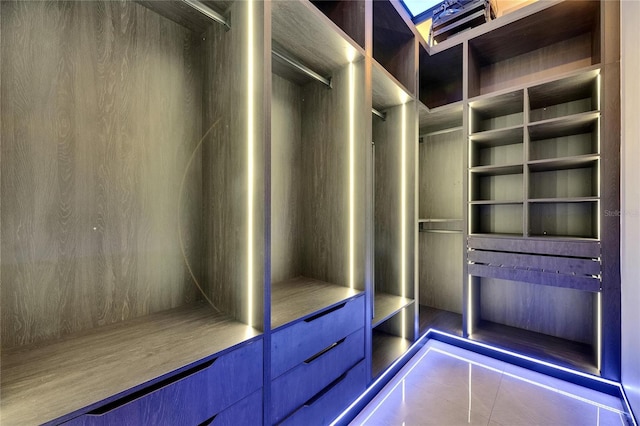 6534 Simone Shores Cir, Apollo Beach, FL 33572 - view of walk in closet