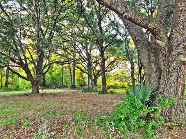 3702 NE 255th Dr, Melrose, FL 32666