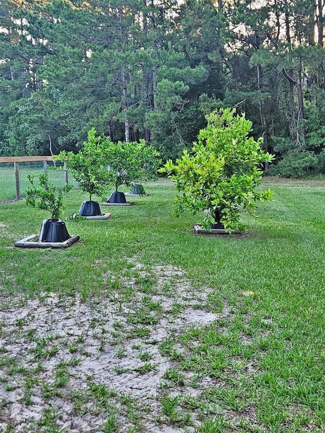 3702 NE 255th Dr, Melrose, FL 32666