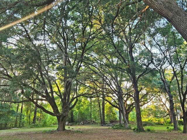 3702 NE 255th Dr, Melrose, FL 32666
