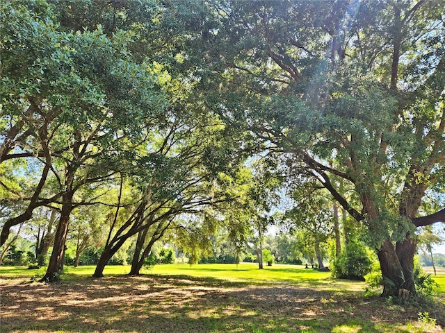 3702 NE 255th Dr, Melrose, FL 32666
