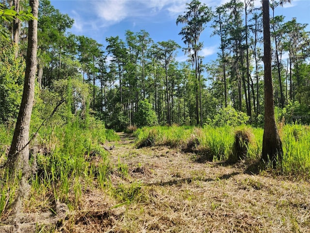 3702 NE 255th Dr, Melrose, FL 32666