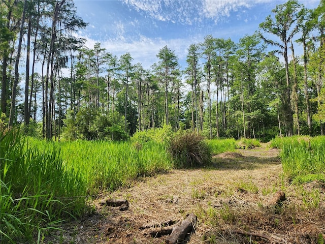 3702 NE 255th Dr, Melrose, FL 32666