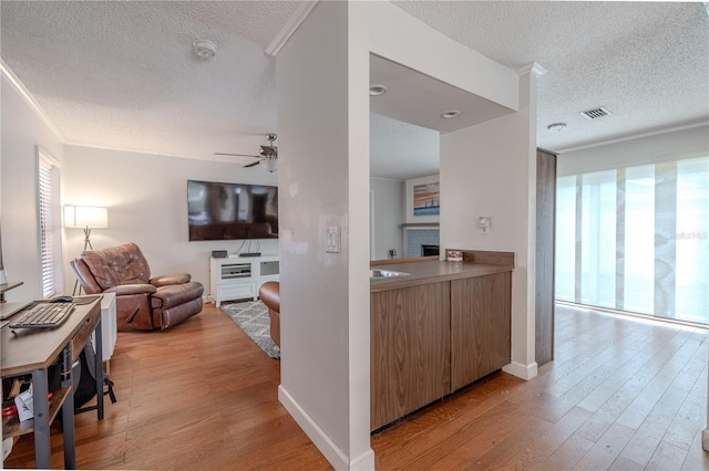 3968 Orchard Hill Cir, Palm Harbor, FL 34684 - living area featuring healthy amount of natural light, a textured ceiling, light wood-type flooring, ceiling fan, and baseboards