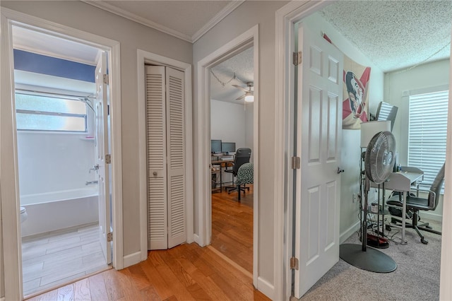 3968 Orchard Hill Cir, Palm Harbor, FL 34684 - corridor featuring an office area, light wood-type flooring, ornamental molding, and a textured ceiling