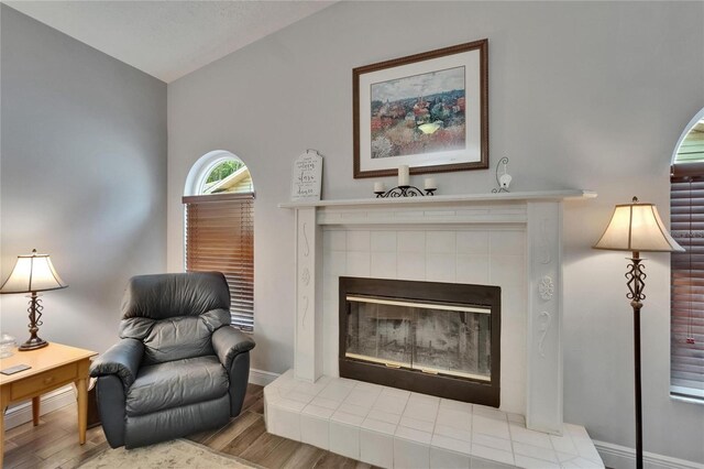 905 Balsamina Dr, Brandon, FL 33510 - living area featuring wood finished floors, lofted ceiling, a tile fireplace, and baseboards