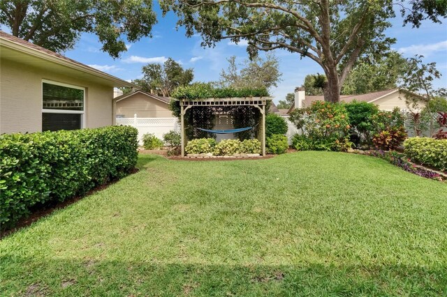 905 Balsamina Dr, Brandon, FL 33510 - view of yard