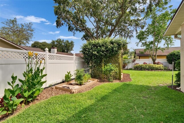905 Balsamina Dr, Brandon, FL 33510 - view of yard with a vegetable garden