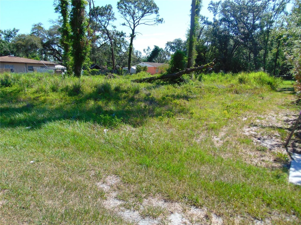 12217 Four Oaks Rd, Tampa, FL 33624
