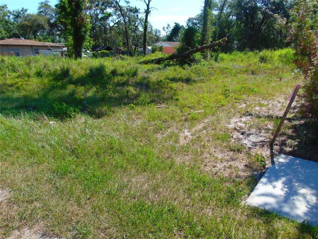 12217 Four Oaks Rd, Tampa, FL 33624