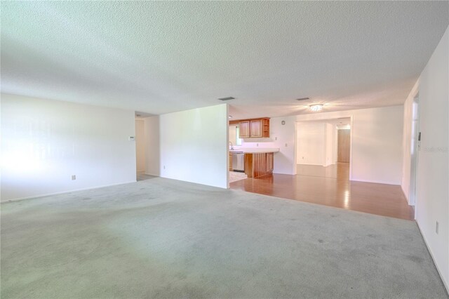 12220 Twin Branch Acres Rd, Tampa, FL 33626 - unfurnished living room with light carpet and a textured ceiling