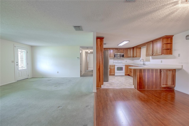 12220 Twin Branch Acres Rd, Tampa, FL 33626 - kitchen featuring appliances with stainless steel finishes, a sink, open floor plan, light countertops, and open shelves