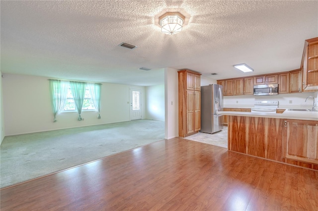 12220 Twin Branch Acres Rd, Tampa, FL 33626 - kitchen featuring stainless steel appliances, open floor plan, a textured ceiling, light wood-type flooring, and a peninsula