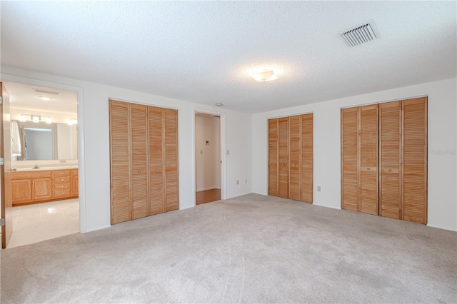 12220 Twin Branch Acres Rd, Tampa, FL 33626 - unfurnished bedroom with multiple closets, carpet floors, a textured ceiling, and ensuite bathroom