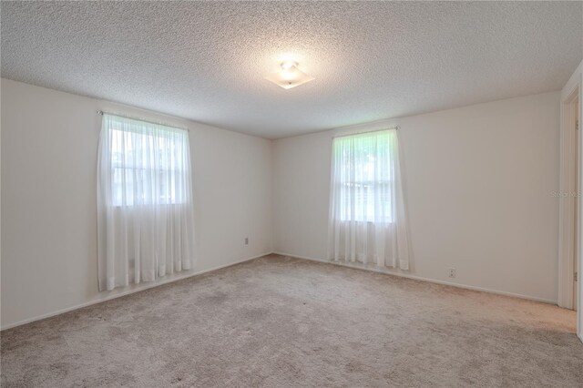 12220 Twin Branch Acres Rd, Tampa, FL 33626 - spare room featuring carpet floors and a textured ceiling