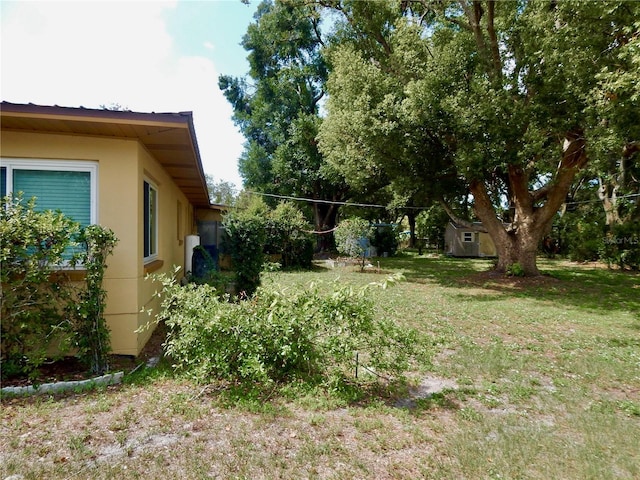 10308 Fore Dr, Tampa, FL 33612 - view of grassy yard