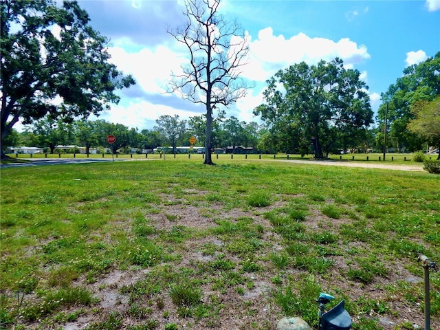 10308 Fore Dr, Tampa, FL 33612 - view of grassy yard