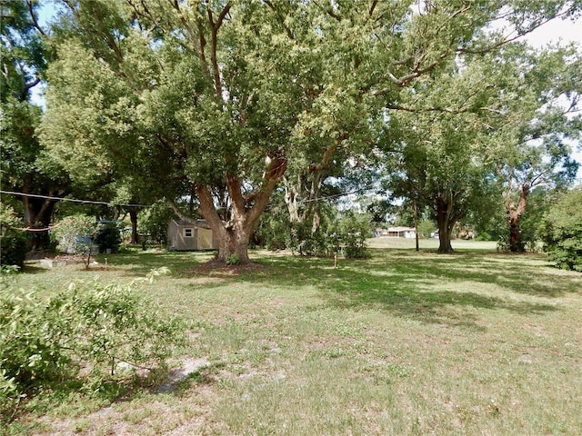 10308 Fore Dr, Tampa, FL 33612 - view of grassy yard